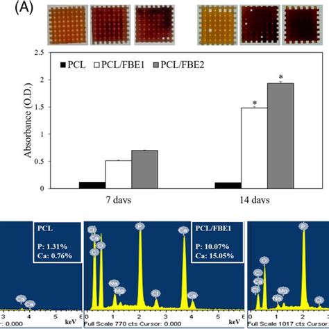 A Effect Of Pclfbe On The Mineralization By Alizarin Red S Staining