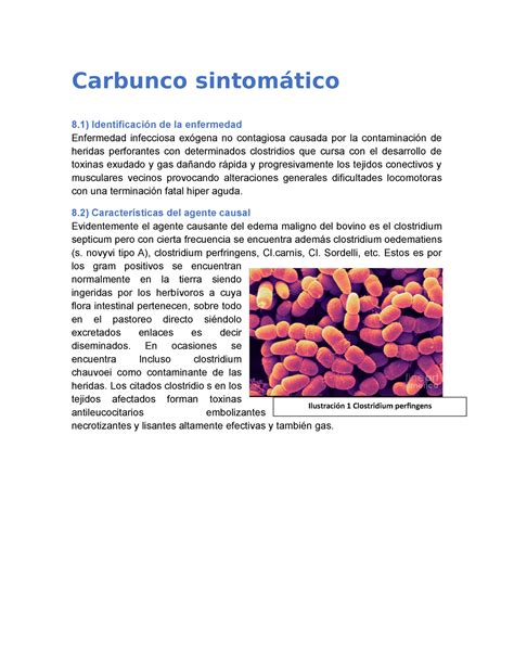 Carbunco Sintom Tico Carbunco Sintom Tico Identificaci N De La