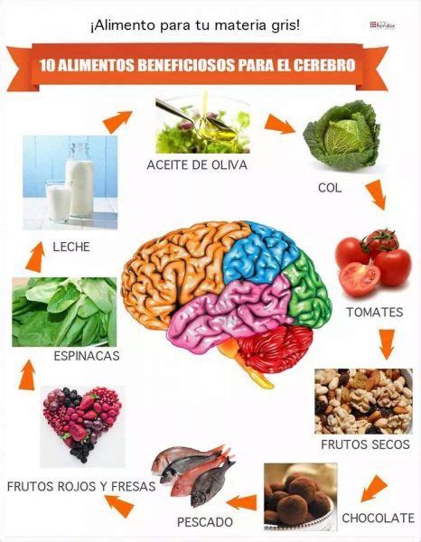 Dieta Preventiva De Las Demencias Estilo De Vida Saludable