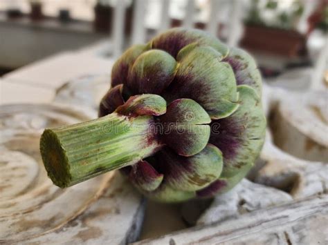 Artichoke And Background From Vintage Rustic Decorative Element Wood