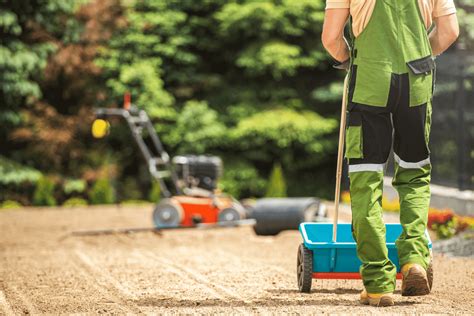 How To Make Centipede Grass Spread For A Better Lawn