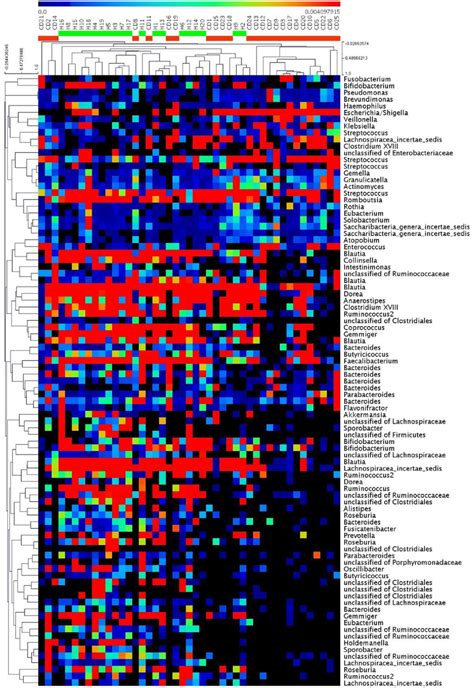 Heat Map Of The Core Otus Of Bacterial Communities Inferred From Fecal