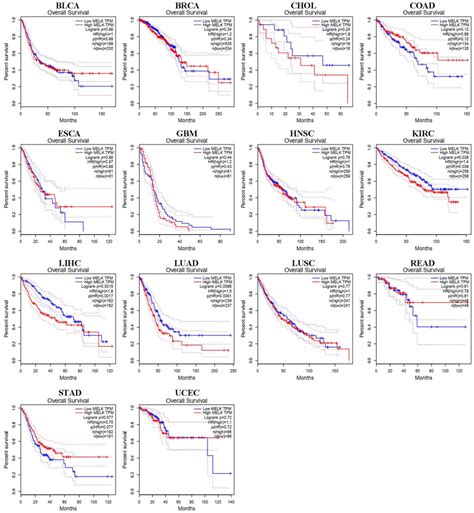 Frontiers Comprehensive Analyses Of Melk Associated Cerna Networks