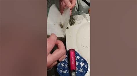 Rosin Press W Hair Straightener Youtube