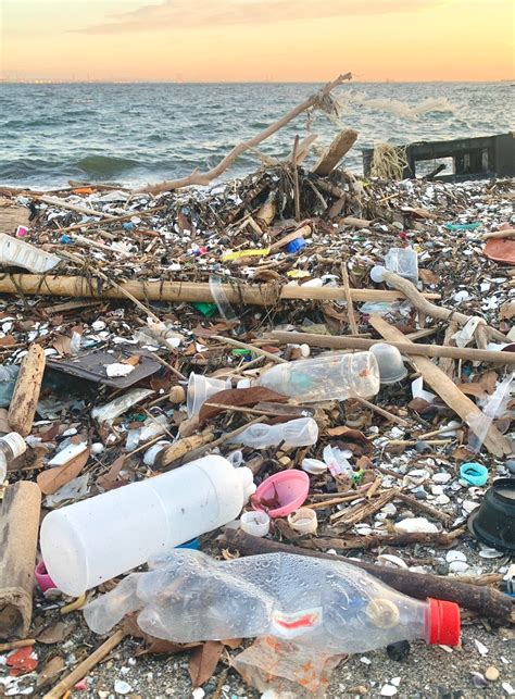 海洋プラスチックごみ対策 アクションプラン Tokyo Bay Beach Clubのブログ