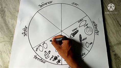 संतुलित भोजन का चार्ट Drawing कैसे बनाये How To Draw A Chart Of