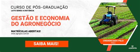 Saiba tudo sobre a produção de silagem de milho por hectare AgroPós