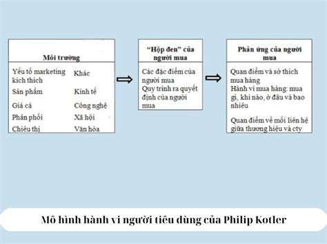 Mô hình hành vi người tiêu dùng của Philip Kotler dễ hiểu