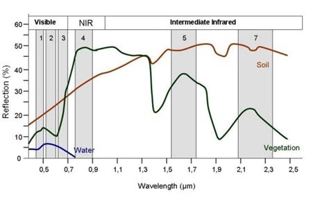 Spectral Signature Concepts Typical Spectral Reflectance Charactristics