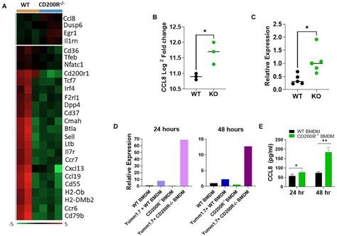 Frontiers Cd200 Blockade Modulates Tumor Immune Microenvironment But