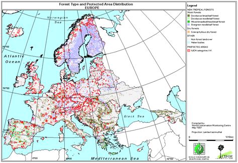 European forest map