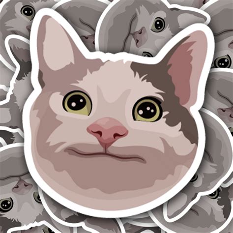 Polite Cat Meme Sticker - Fast & Free Shipping – Turbo Vinyl