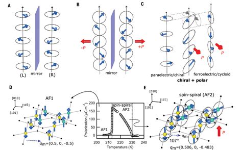 Chirality Arising From Spin Spiral Structure In Multiferroic Cuo A Download Scientific