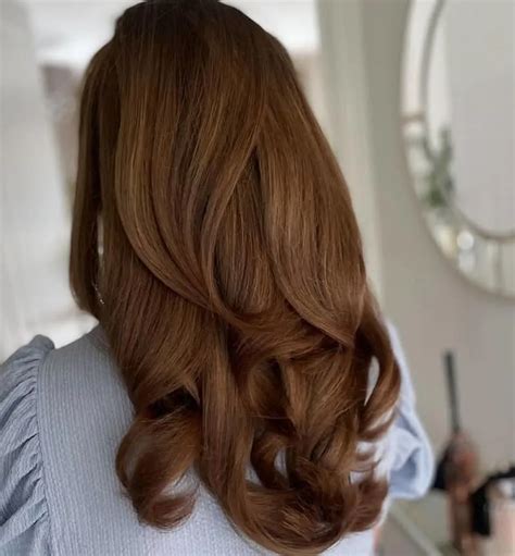 Chestnut Brown Hair Color