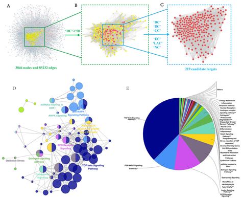 Candidate Target Identification And Cluego Pathway Analysis A Core Download Scientific