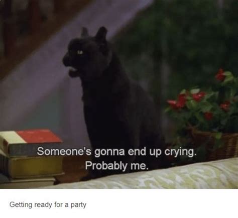 Funniest Salem The Cat Quotes From "Sabrina, The Teenage Witch" | Cat ...