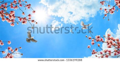 Cherry Blossoms Doves Sunny Sky Stock Photo 1336199288 Shutterstock