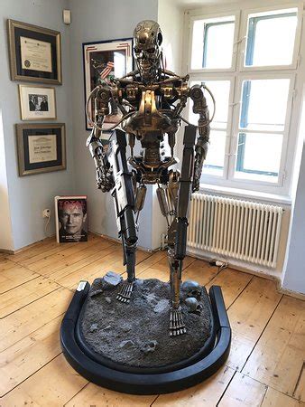 Arnold Schwarzenegger Museum Thal Bei Graz All You Need To