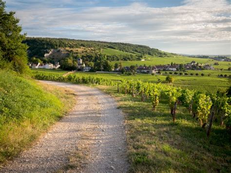 Côte de Beaune Burgundy Wine Tour Private Day Trip from Beaune