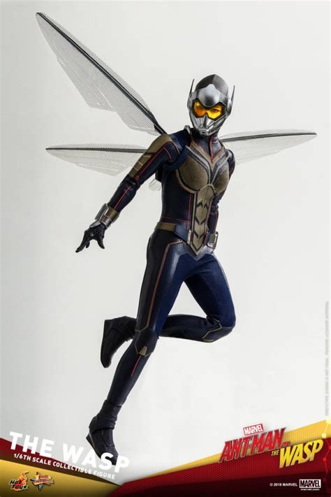 Hot Toys Ant Man And The Wasp Figures Up For Order Marvel Toy News