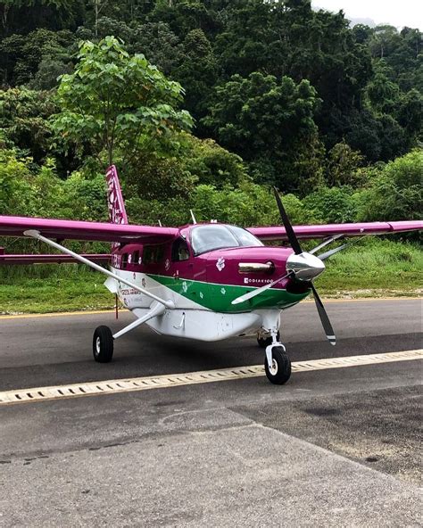 Vuelos Privados Avioneta Kodiak Daher 100 En San Jose Cr Aero Albrook