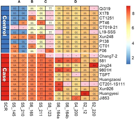 Frontiers Identification Of Southern Corn Rust Resistance QTNs In