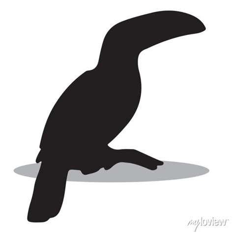 Toucan silhouette, cute toucan vector silhouette, cute toucan • wall stickers ocean, pet ...