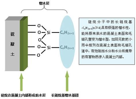 硅烷的五点问题及解读 知乎