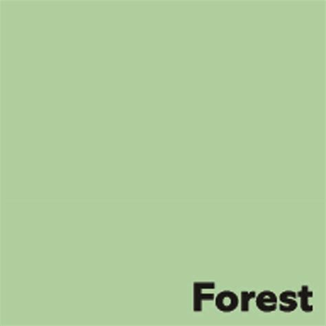 F Rgat Papper Image Coloraction G A Forest Pastel Green