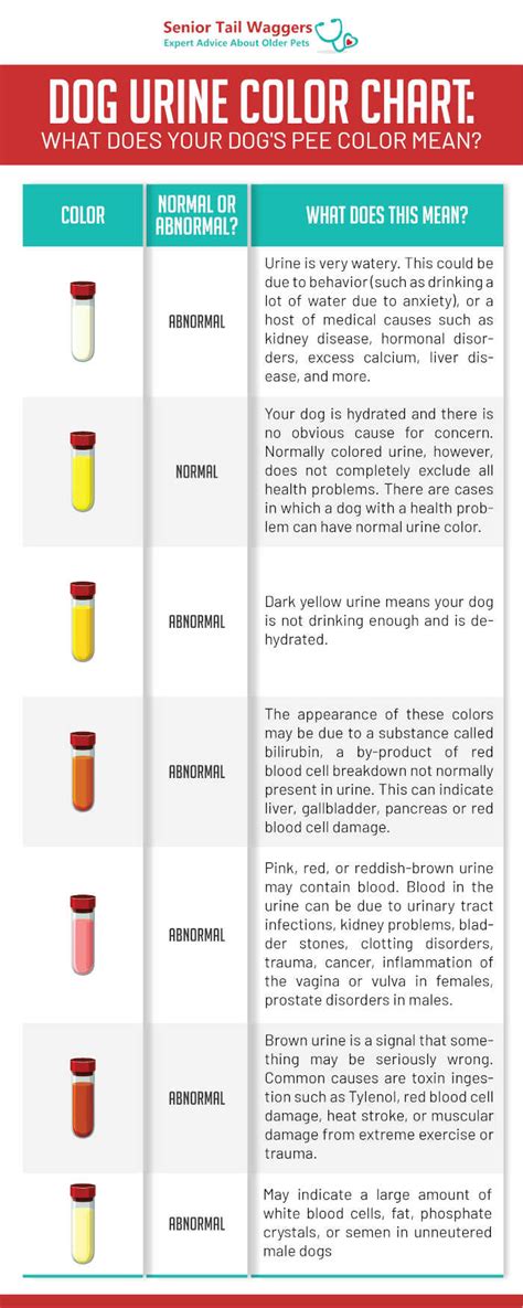 dog pee color chart what abnormal urine colors mean - what is a normal ...