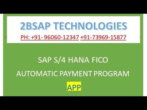 SAP S4 HANA FICO APP How To Use Automatic Payment Program In SAP