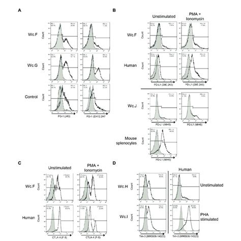 The Principle Of Cd107a Degranulation Assay Killing Of Target Cells Is