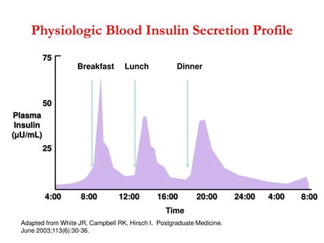 Ppt Type 2 Diabetes Mellitus Role Of Insulin Powerpoint