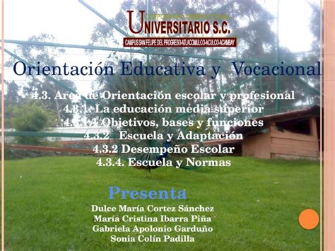 Pptx Orientaci N Educativa Y Profesional Dokumen Tips