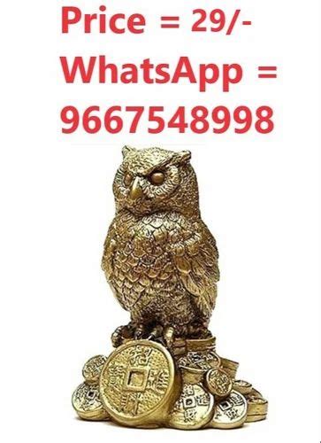 Golden Owl Statue Rs 60 Per Piece at Rs 35/piece | Management Development Institute | Gurgaon ...