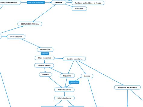 Usuario Mind Map