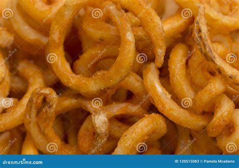 Seasoned Curly Fries stock image. Image of fast, restaurant - 120515083