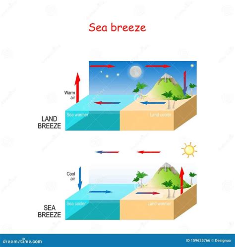 A Visual Representation Of Sea Breeze And Land Breeze