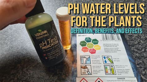 Ph Water Levels For The Plants Definition Benefits And Effects