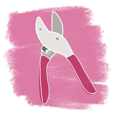 Types of Pruners and Saws, and How to Use Them — Mother Nature | Powell ...