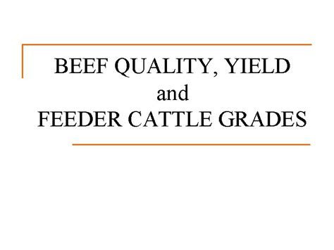 Beef Quality Yield And Feeder Cattle Grades Grading