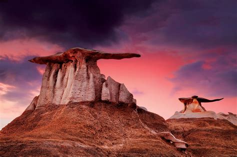 Bisti Wilderness Adventure Navajo Tours Usa