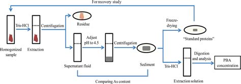The schematic picture of experimental procedure | Download Scientific ... 