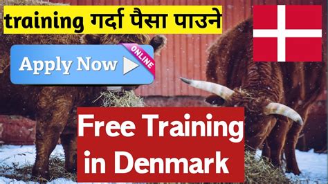 Denmark Working Visa From Nepal How To Apply Denmark Work Visa From