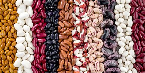 essential bean cookbooks foodprint