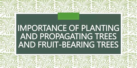 Importance Of Planting And Propagating Trees And Fruit