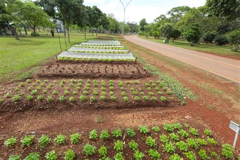 Parque Da Cidade Ganha Segunda Horta Comunit Ria Ag Ncia Bras Lia