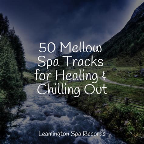 Mellow Spa Tracks For Healing Chilling Out Album By Massage