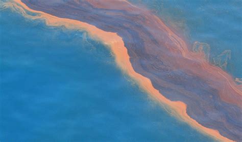 Studying A 1979 Oil Spill May Help Scientists Predict Long Term Effects