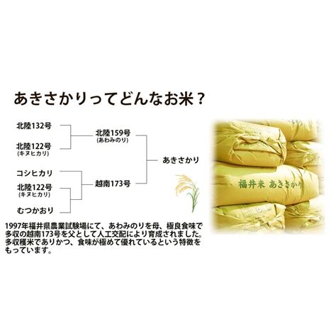 新米 米 あきさかり 10kg 5kg×2袋 福井県産 白米 令和4年産 送料 182 5k 2福井の米屋 通販 Yahooショッピング